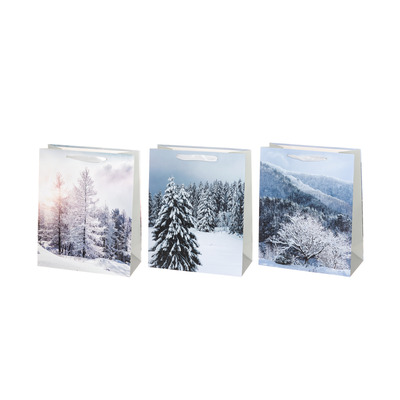 Kinkekott sangadega 26x32x10cm (talvine mets,3 erinevat)