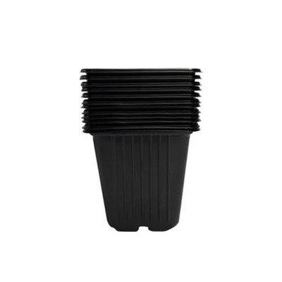 Istutuspott SOLID 9cm 12tk