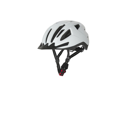 Tagatulega jalgrattakiiver