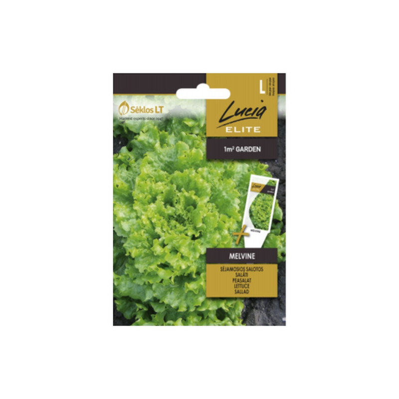 Seemned Lucia Elite Aedsalat Melvine LE