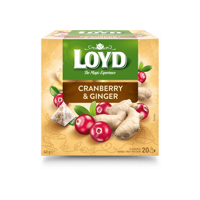 Puuv.tee LOYD jõhv.-ingver pür 20x2g