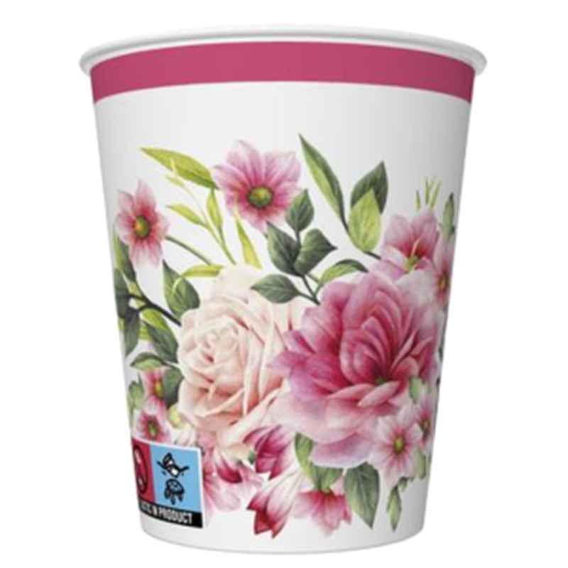 Daisy papptops Roosid 250ml 8tk