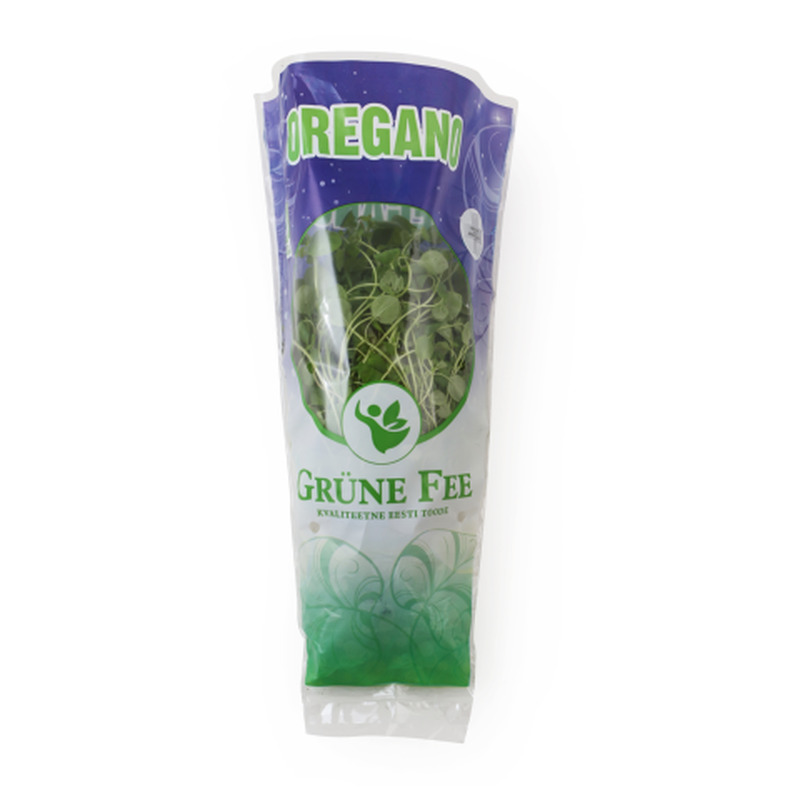 Oregano potis Grüne Fee tk