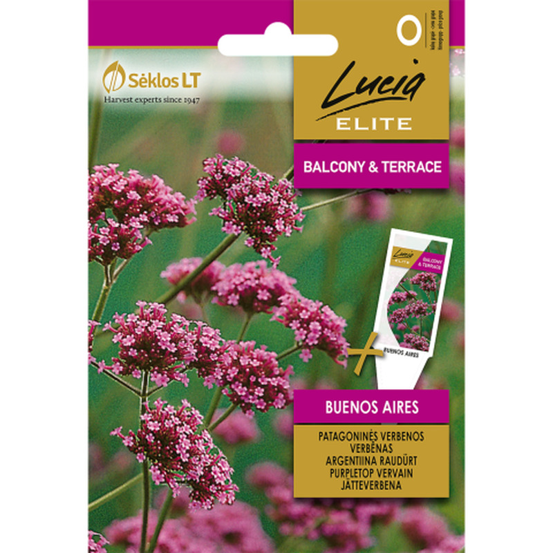 Argentiina Raudürt Buenos Aires