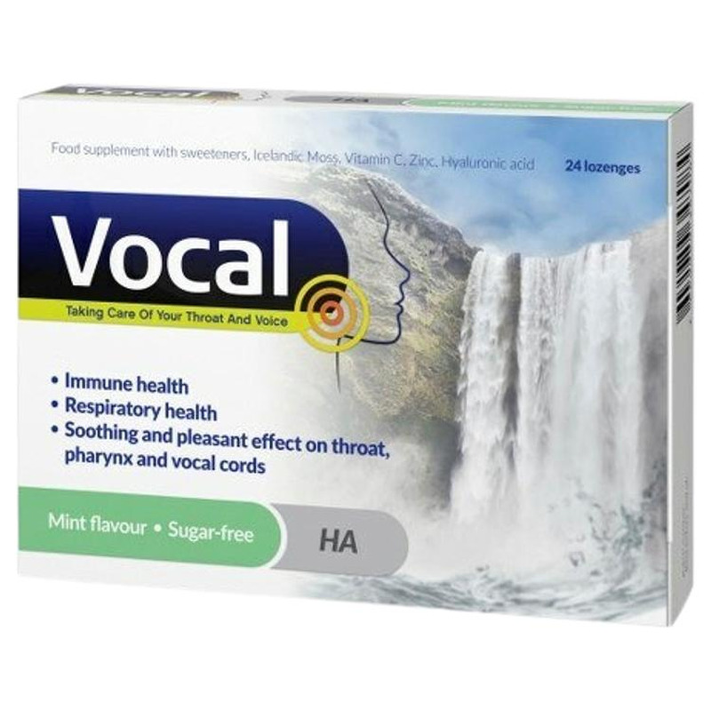 Piparmündimaitselised hüaluroonhappega imemistabletid Mint N24, VOCAL, 33,6 g