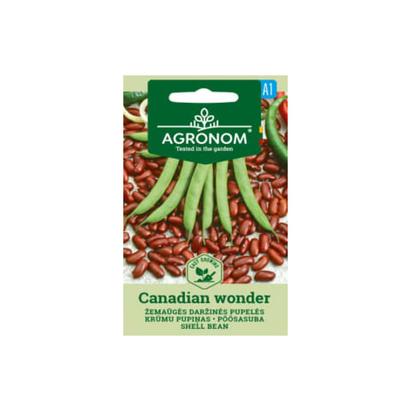 Põõsasuba Canadian Wonder