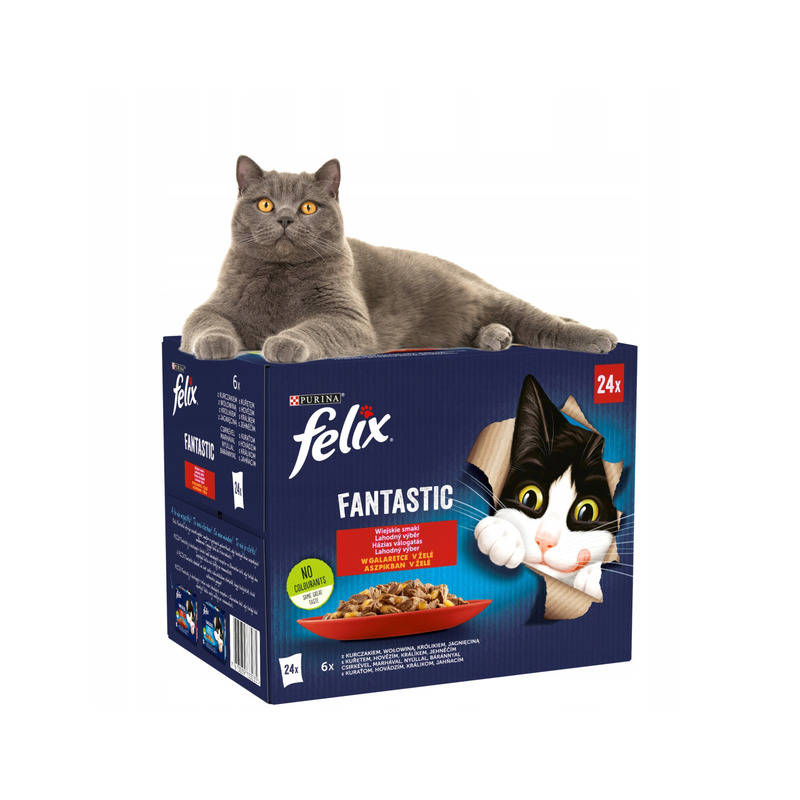 Felix Fantastic kassitoit erinevate maitsetega tarretises (24x85g)