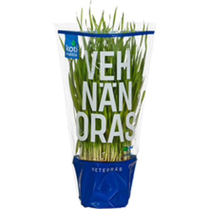Nisuoras potis