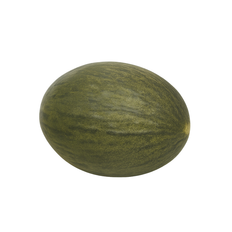 Melon Cantalope