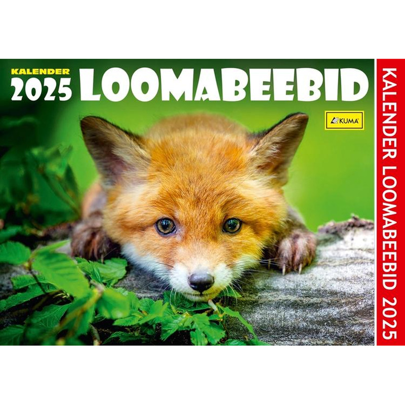 Kuma kalender Loomabeebid, 1tk