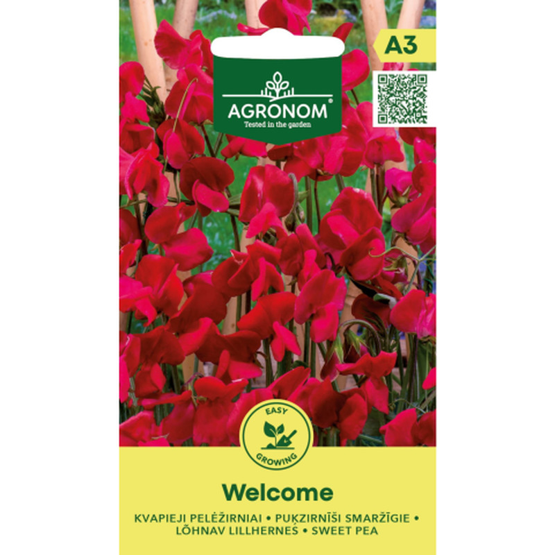 Lõhnav lillhernes Welcome