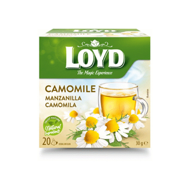 Taime tee LOYD kummel 20x1.5 g