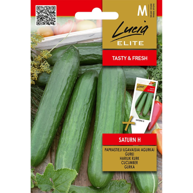 Seemned Lucia Elite Harilik Kurk Saturn H LE