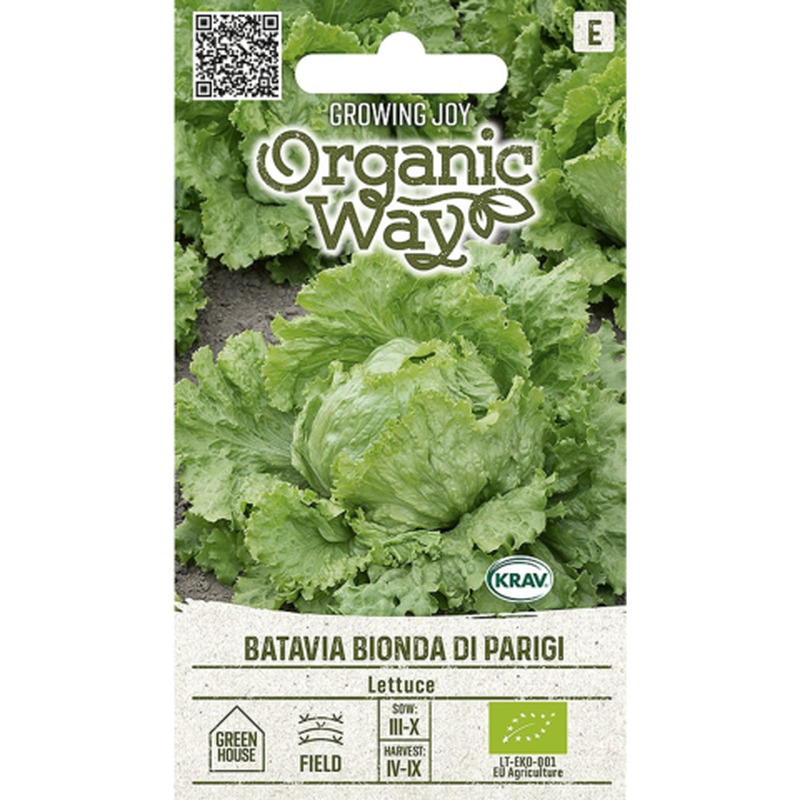 Aedsalat Batavia Bionda Di Parigi