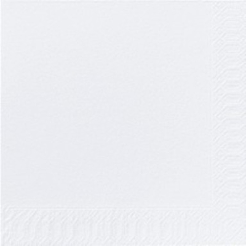 DUNI Salvrätikud 24x24cm 250tk (3 kihilised, valge)