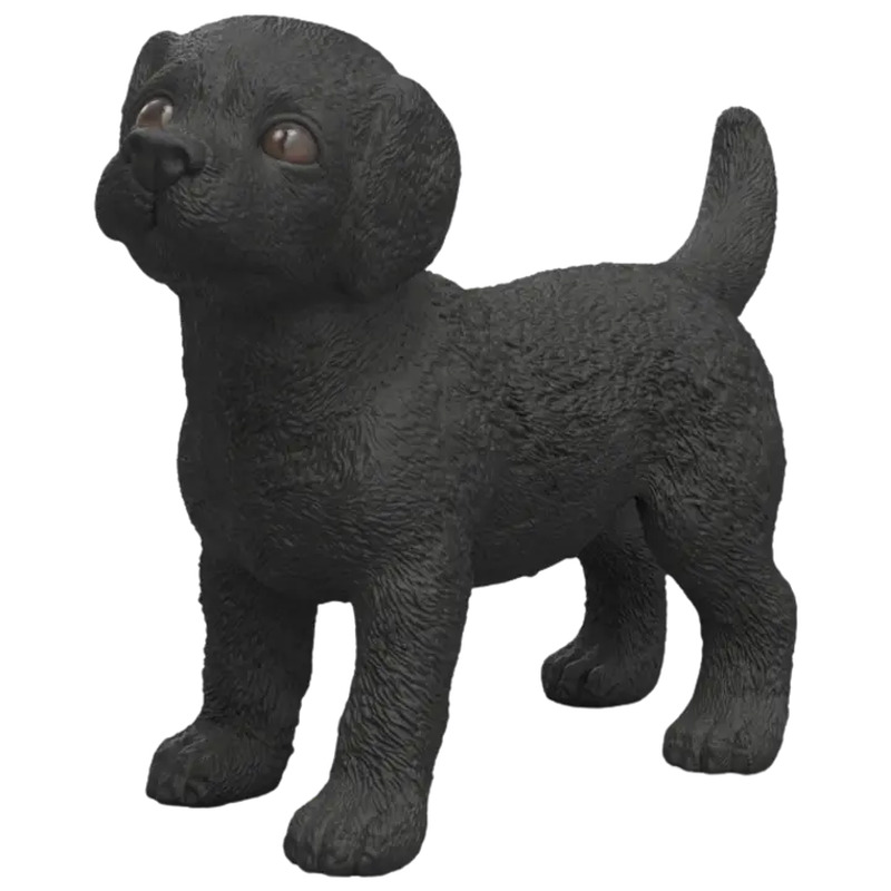 Must labradori retriiveri kutsikas