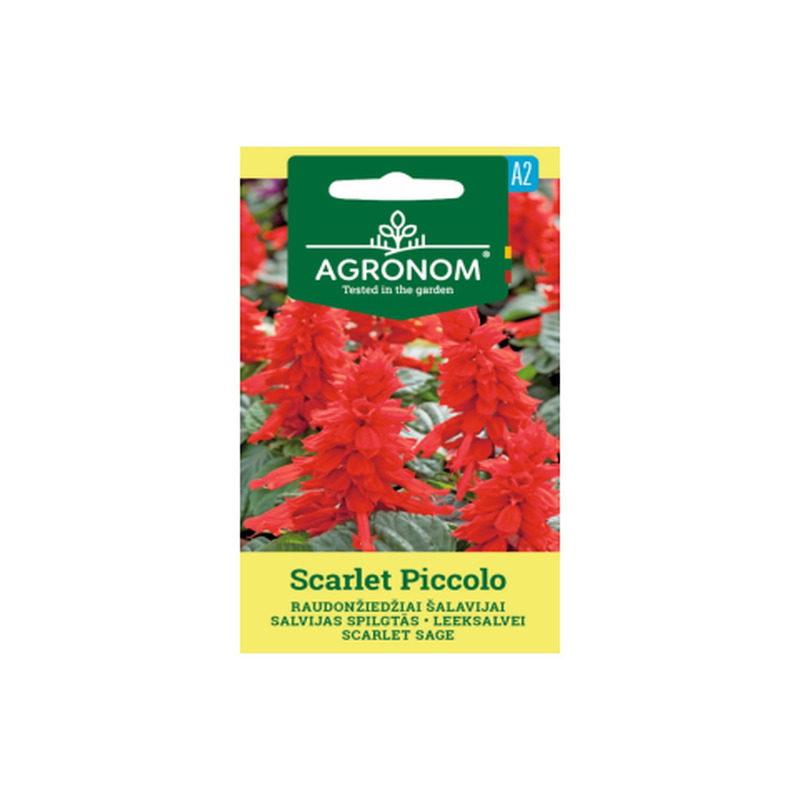 Seemned Agronom Leeksalvei Scarlet Piccolo