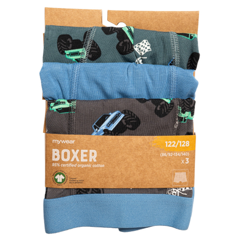 Poiste aluspüksid Mywear Axel Checkered Flag 3tk 86/92