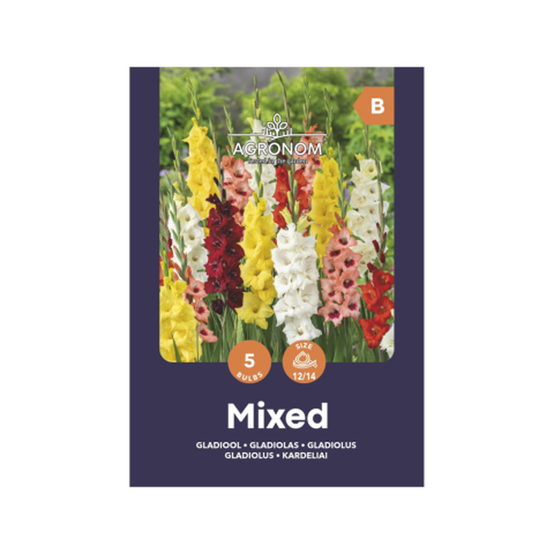 Gladioolid suured mix Agronom SG25