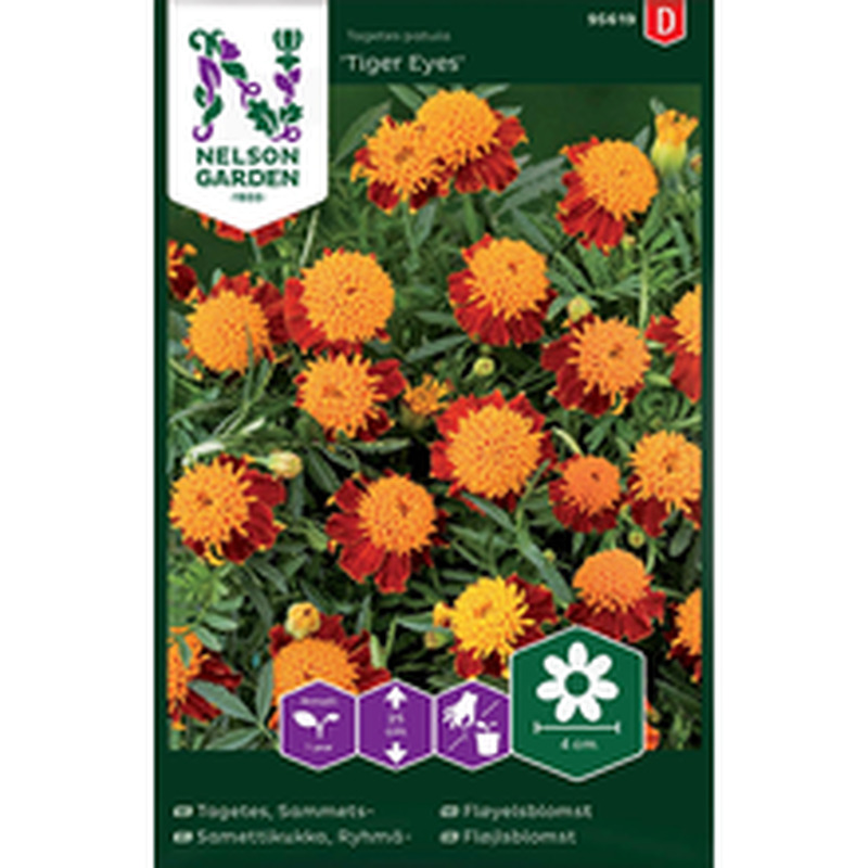 95619 tagetes ryhmä-, tiger eyes