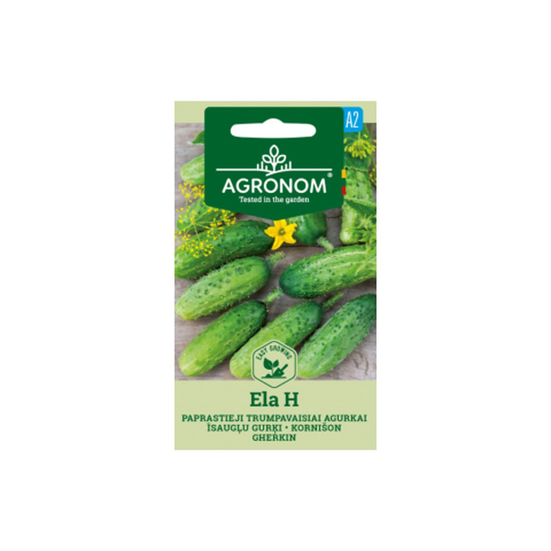 Seemned Agronom Kornišon Ela H