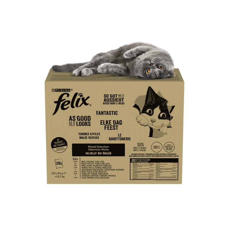 Felix Fantastic kassitoit erinevate maitsetega tarretises 10,2 kg (120x85g)