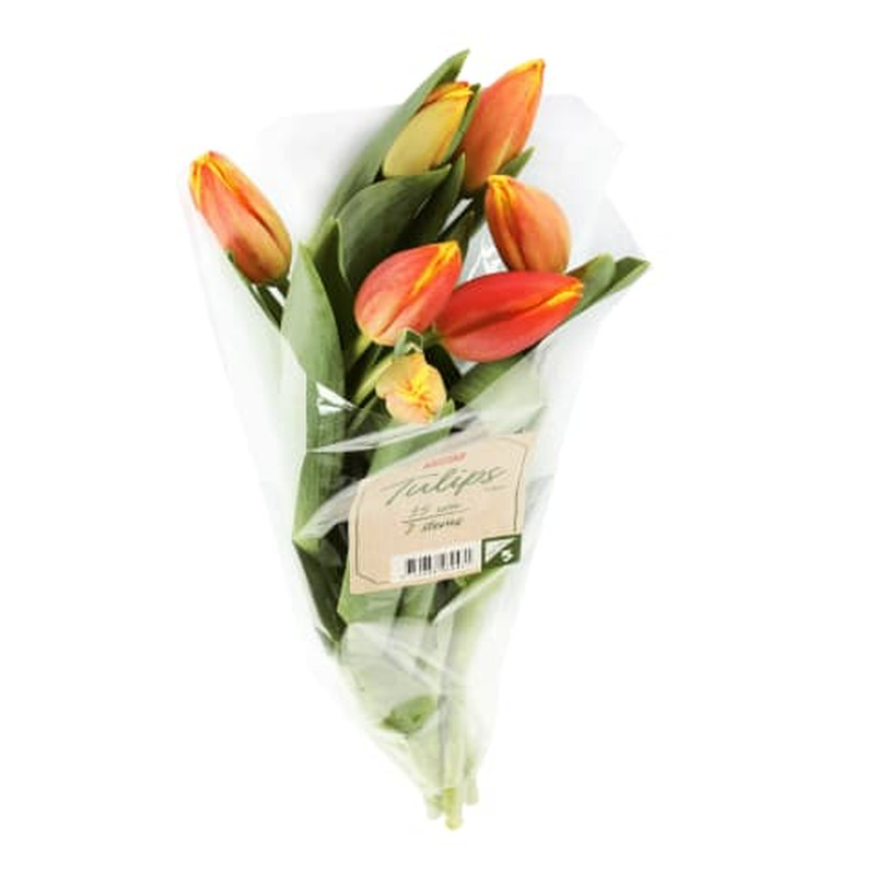 Tulpide kimp Rimi 35cm, 7 vart