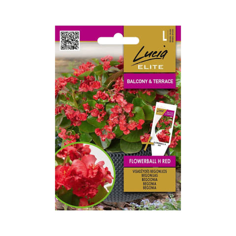 Figuur Funko ast 10989F