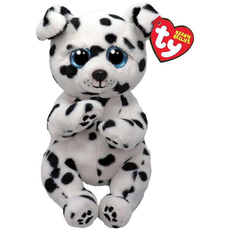 ROWDY - dalmaatsia koer reg