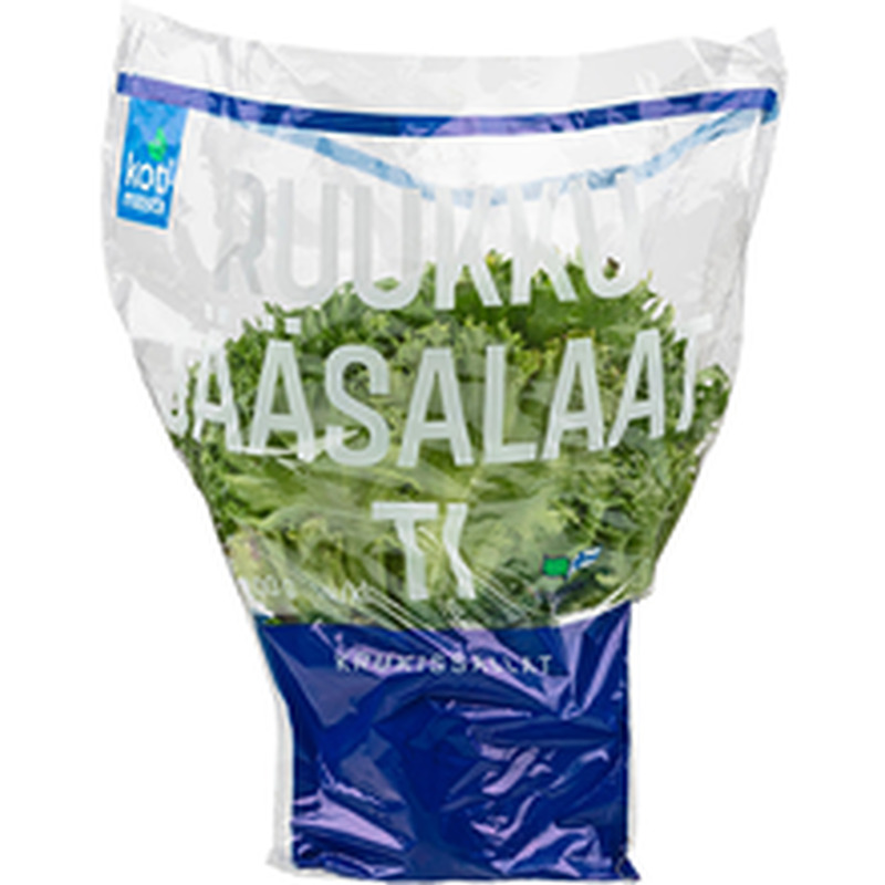 Jääsalat potis