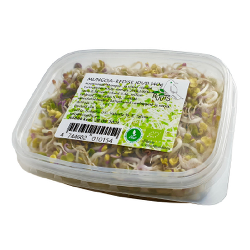 Mahe mungoa-redise idusalat, RÜÜTS, 140 g