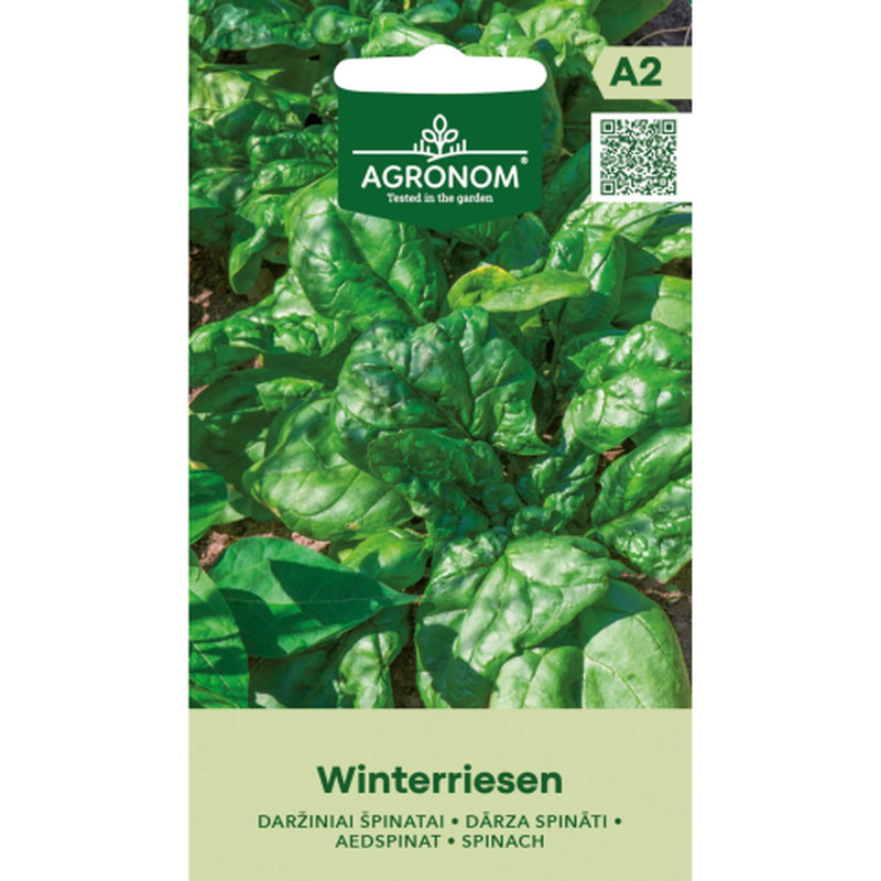 Seemned Agronom Aedspinat Winterriesen