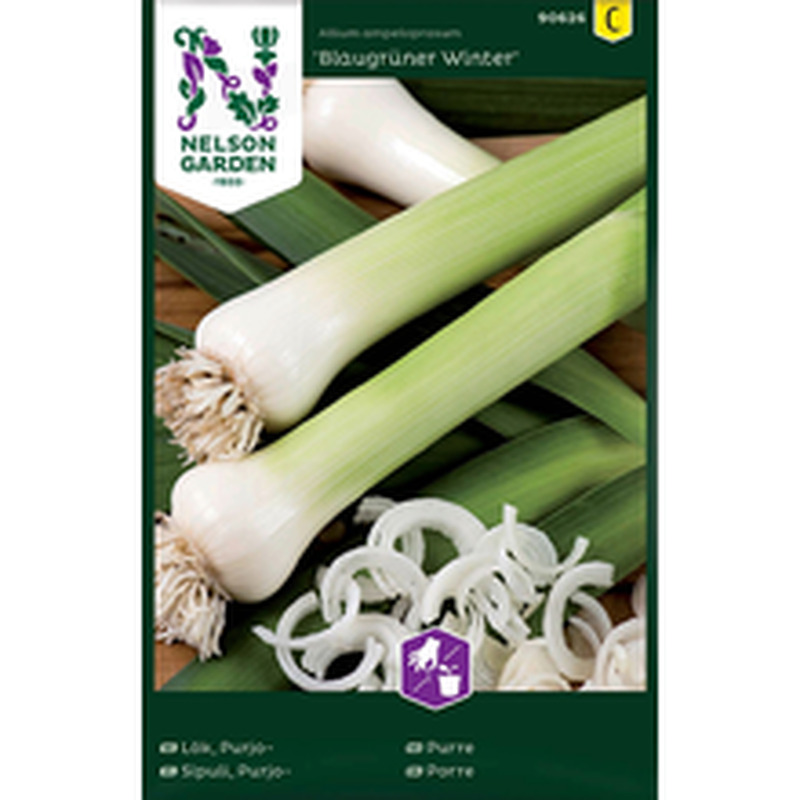 90626 porrulauk blaugrüner winter