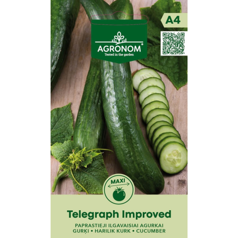 Kurgid Telegraph Improved