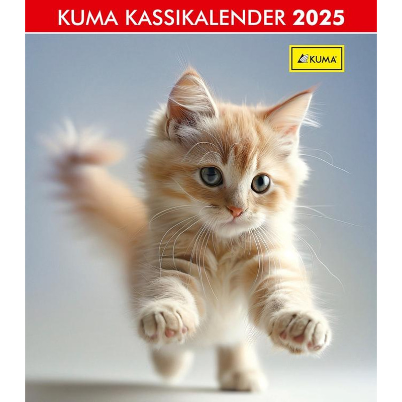 Kuma kassikalender, 1tk