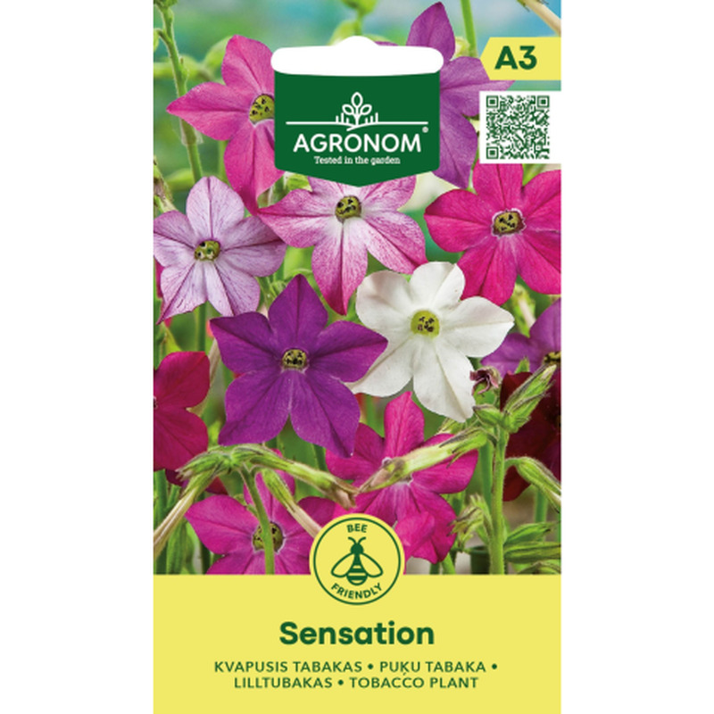 Õitsev tubakas Sensation