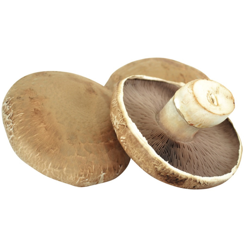 PJ Seen Portobello 280g