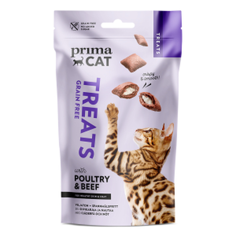Maius kassile Crunchy Sikin&Coat, PRIMACAT, 40 g