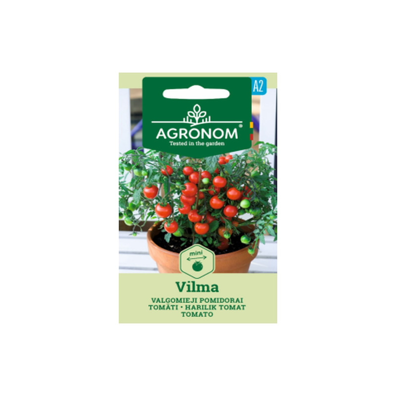 Seemned Agronom Harilik Tomat Vilma