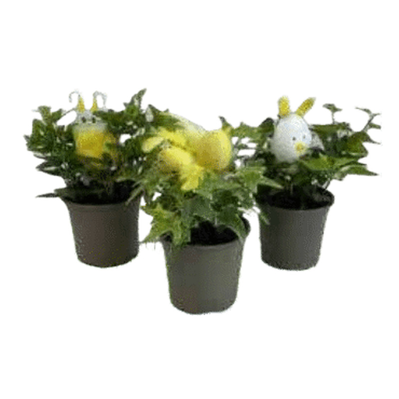 Luuderohi tibuga 9cm, 1tk