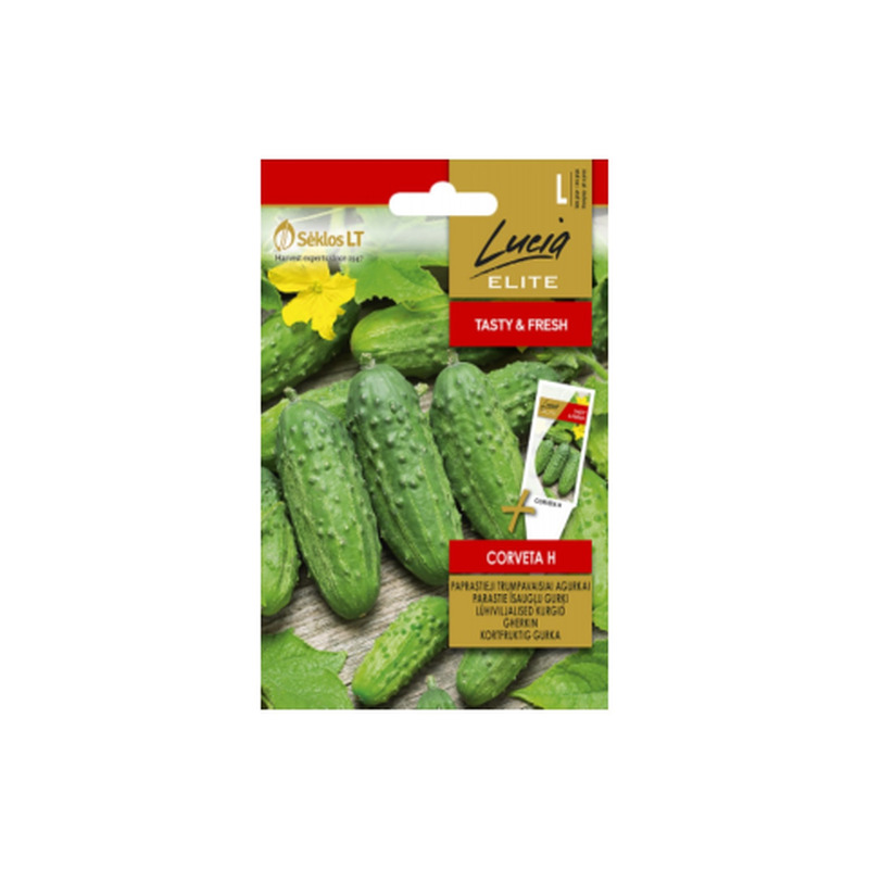 Seemned Lucia Elite Kornišon Corveta H LE
