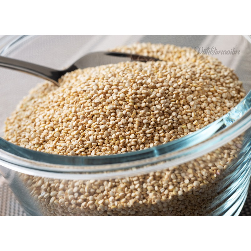Ökoloogiline valge kinoa, 1 kg