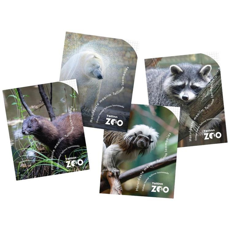 Kaustik Tallinna Loomaaed 5x5 ruut 36 lehte, TALLINNA ZOO, 1 tk