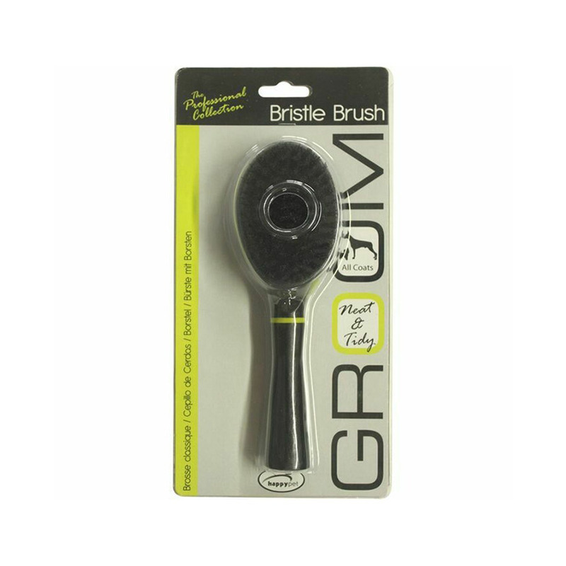 Lemmiklooma massaasi kamm-hari