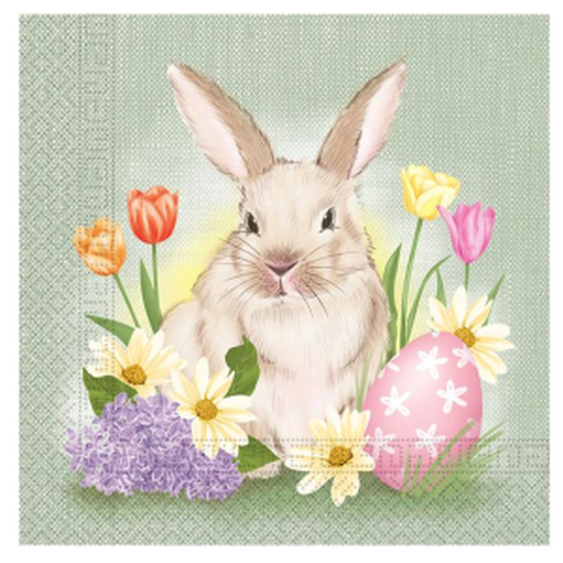 Procos salvrätikud Jänes 20tk 33*33cm