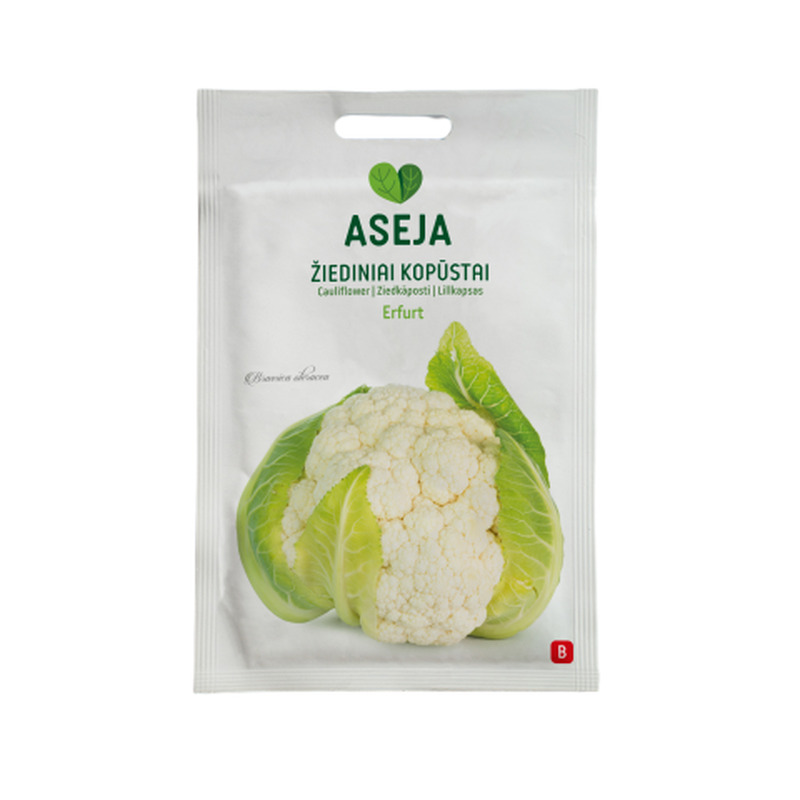 Lillkapsas Erfurt Aseja 0,5g 20-0517 (B)