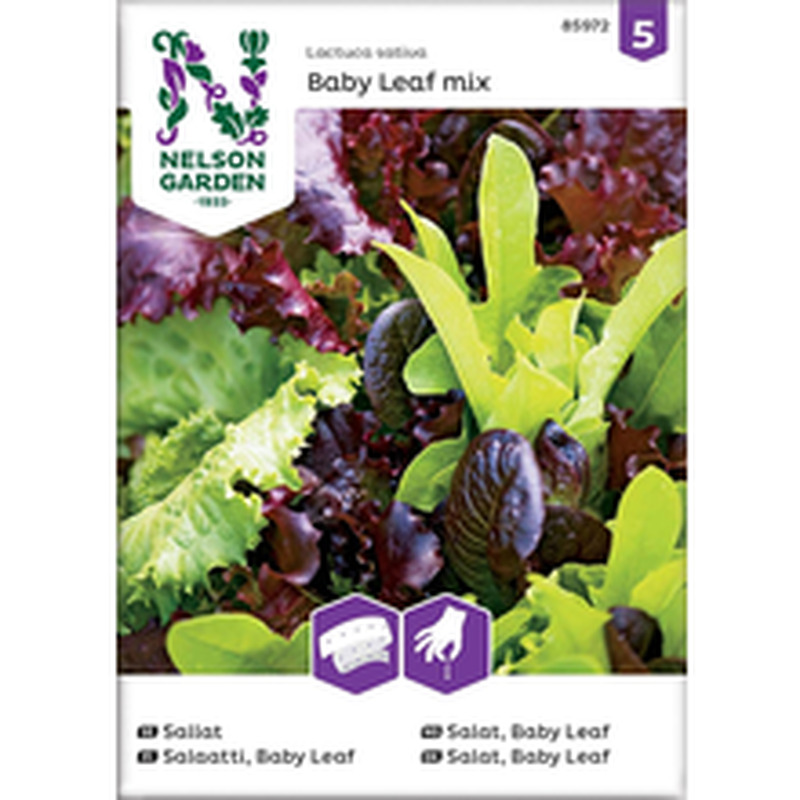 85972 Salat Baby Leaf mix, külvilint