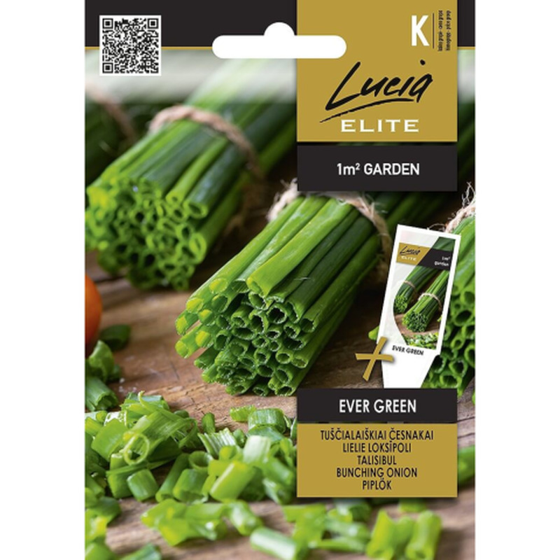 Sibulad suured Ever Green