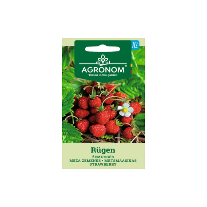 Seemned Agronom Metsmaasikas Rügen