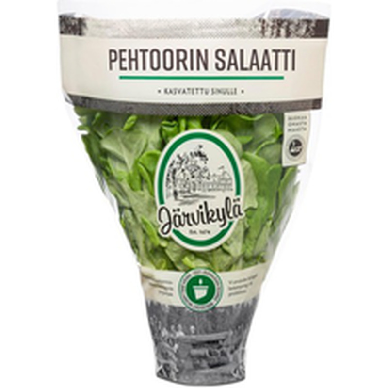 Pehtoorin salat